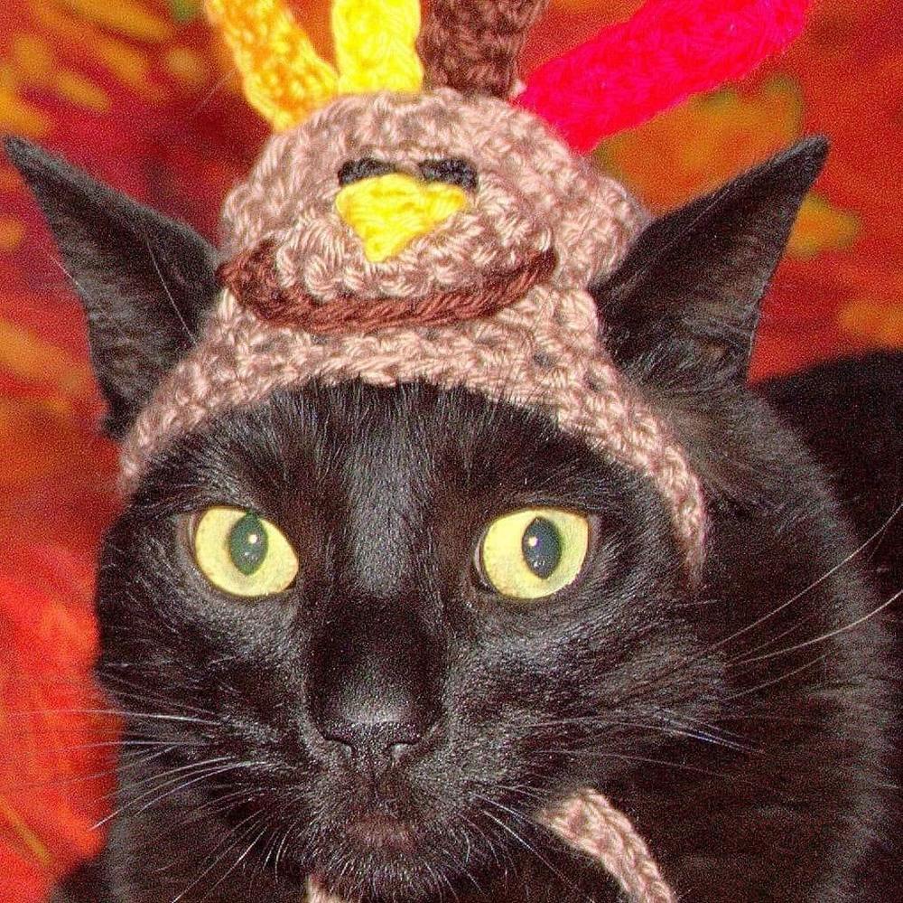 Meet your Posher, Claudia